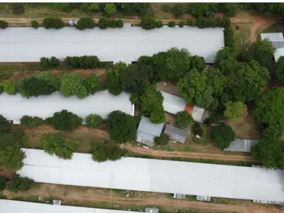 Granja avícola en venta en Altos, Cordillera 3