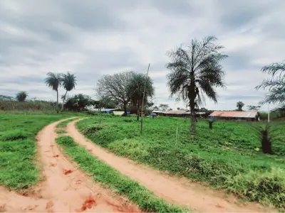 Granja avícola en venta en Pirayú, Paraguarí - 40.000 m² 2
