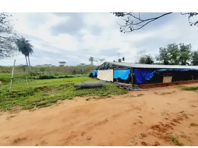 Granja avícola en venta en Pirayú, Paraguarí - 40.000 m² 4