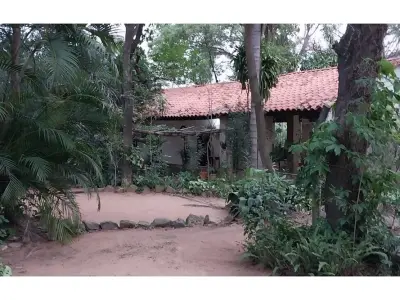 Granja formada en venta en Pedrozo, Ypacaraí 4