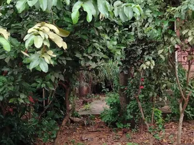Local comercial en venta en Inmaculada, San Lorenzo 2