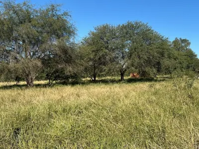 Lote comercial en venta en Cruce Boquerón, Loma Plata 4