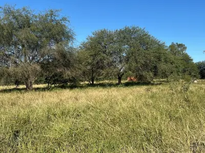 Lote comercial en venta en Cruce Boquerón, Loma Plata 3