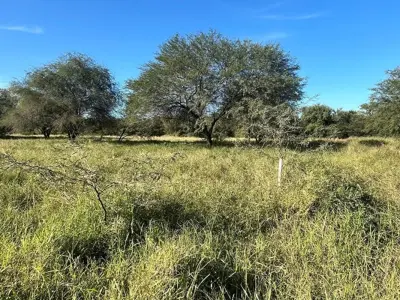 Lote comercial en venta en Cruce Boquerón, Loma Plata 4