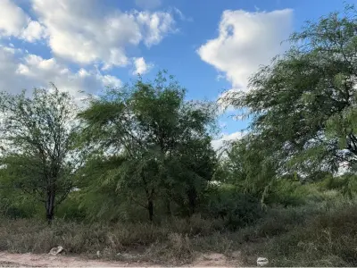 Lote comercial en venta en Filadelfia, Boquerón 4