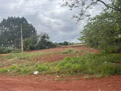 Land for sale in Colonia la Fortuna, 2,404 m² 5