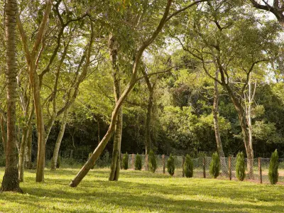 Land for sale in Areguá Forest Country Residence 4