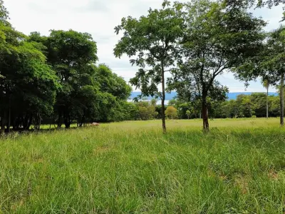 Lote à venda em condomínio fechado em Patiño, Ypacaraí 2