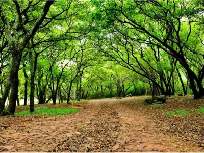 Terreno à venda em condomínio fechado Parquealto, Patiño, Ypacaraí 4