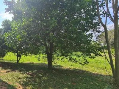 Lote à venda no Country Golf Club Carlos Franco, Arroyos y Esteros 2