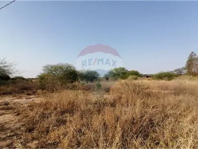 Land for sale in Kleefeld, Loma Plata 2