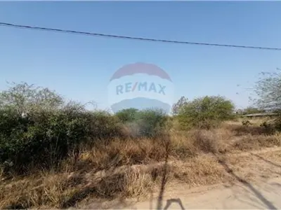 Land for sale in Kleefeld, Loma Plata 3