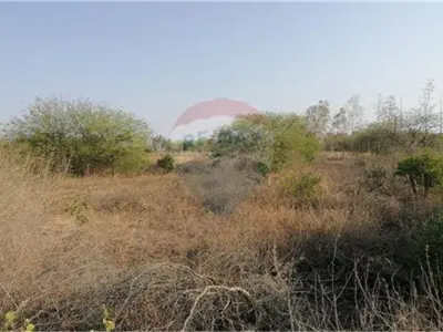 Land for sale in Kleefeld, Loma Plata 4