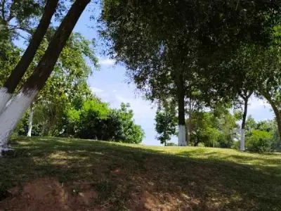 Lotes a orillas del río Paraná en venta – Ayolas, Misiones 4