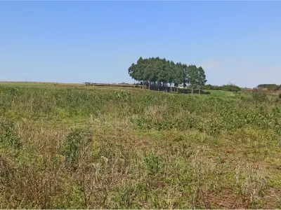 Propriedade agrícola de 47 hectares à venda em Hohenau, Itapúa 3