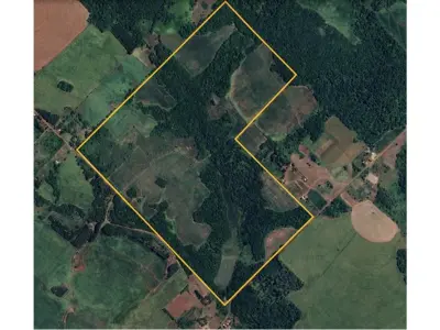 Propriedade agrícola de 76 hectares à venda em Fram, Itapúa 4