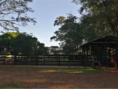 Agricultural and livestock property for sale in Fram, Itapúa 2