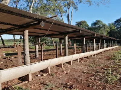 Agricultural and livestock property for sale in Fram, Itapúa 4