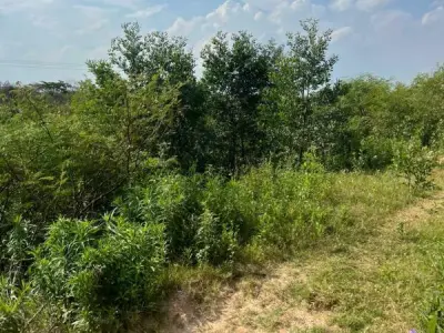 Propiedad en venta en el Chaco paraguayo, zona Nueva Asunción 3