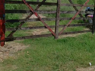Propiedad en venta en el Chaco paraguayo, zona Nueva Asunción 4