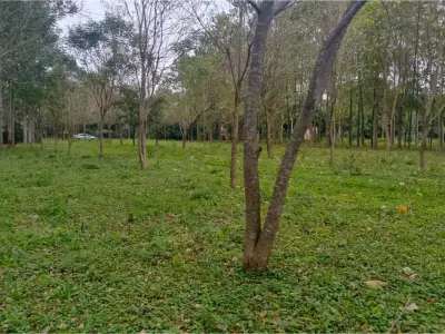 Propriedade à venda em Itá, Central: terreno com casa 3