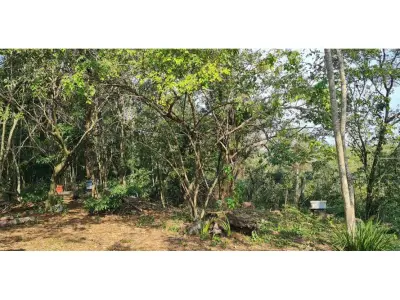 Propiedad en venta en Loma Grande con 2,5 hectáreas 4