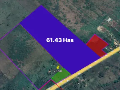 Propriedade estratégica de 61 hectares na Rota Internacional – José Falcón 3