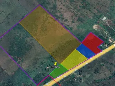 Propriedade estratégica de 61 hectares na Rota Internacional – José Falcón 4