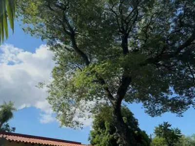Propiedad exclusiva en venta en Las Mercedes, Areguá — 2 viviendas 2