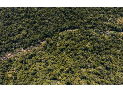 Propriedade pecuária à venda em Coronel Oviedo, Caaguazú 3