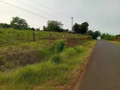 Propiedad rural de 10 hectáreas en venta en Caaguazú 2