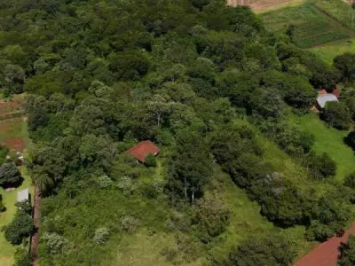 10-hectare rural property for sale – Tomás Romero Pereira, Itapúa 2