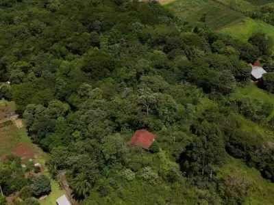 10-hectare rural property for sale – Tomás Romero Pereira, Itapúa 3