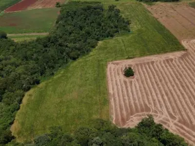 10-hectare rural property for sale – Tomás Romero Pereira, Itapúa 4