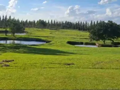 Propriedade rural de 14 ha à venda em Hernandarias, Alto Paraná 2
