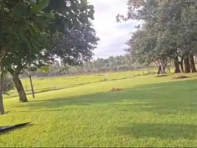 Propriedade rural de 14 ha à venda em Hernandarias, Alto Paraná 3
