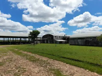 16-hectare rural property for sale in Villarrica, Guairá 3