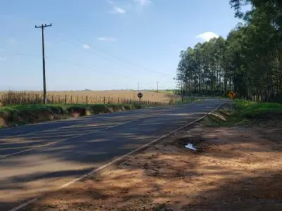 180-Hectare Rural Property for Sale, 3 de Mayo District, Caazapá 2