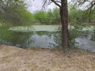 Propiedad rural de 184,5 ha en venta, Villa Hayes 4