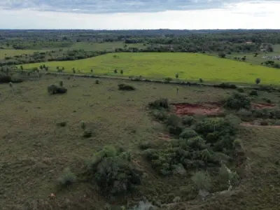 Propiedad rural de 19 hectáreas en venta, San Ignacio, Misiones 3