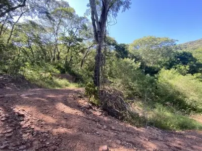 20-Hectare Rural Property for Sale in Pirayú, Paraguarí 2