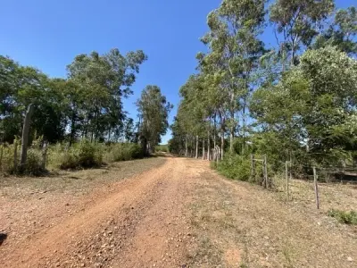 20-Hectare Rural Property for Sale in Pirayú, Paraguarí 4