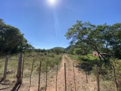 20-Hectare Rural Property for Sale in Pirayú, Paraguarí 5