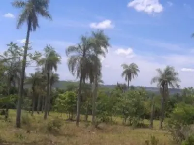 Propriedade rural de 2,65 hectares em Ita Ybu Mi, Caacupé 2