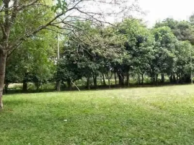 Propiedad rural de 285 hectáreas en venta en San Miguel, Misiones 2