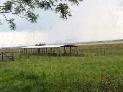 Propiedad rural de 285 hectáreas en venta en San Miguel, Misiones 3