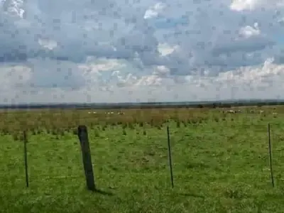 Propiedad rural de 285 hectáreas en venta en San Miguel, Misiones 4