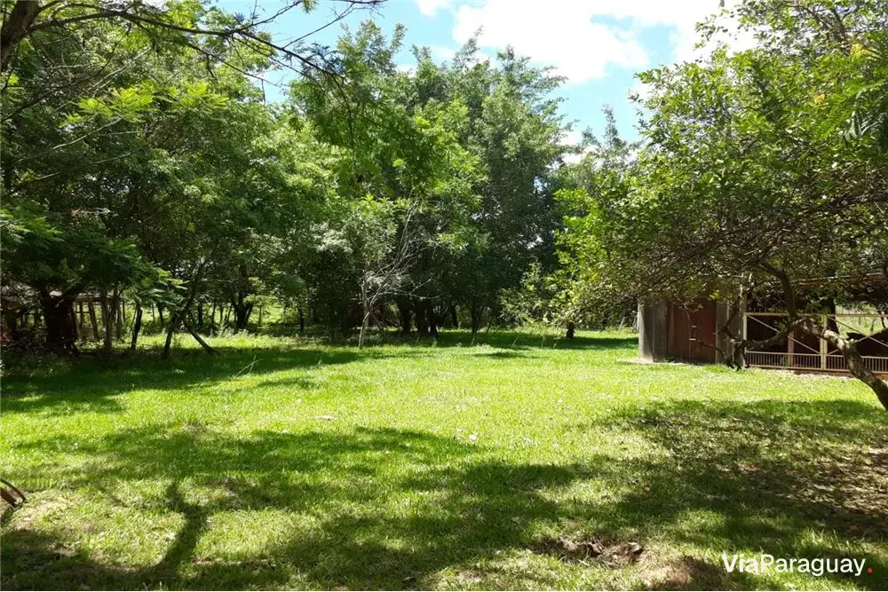 Rural land of 29 ha for sale in Arroyos y Esteros