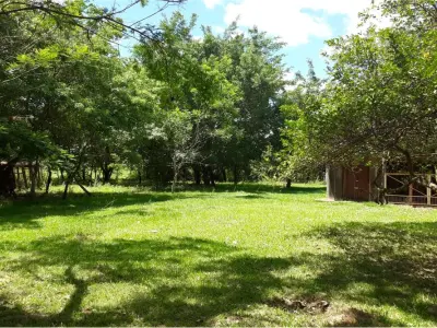 Rural land of 29 ha for sale in Arroyos y Esteros