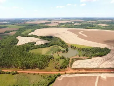 Propriedade rural de 30 hectares em Minga Guazú, Alto Paraná 2